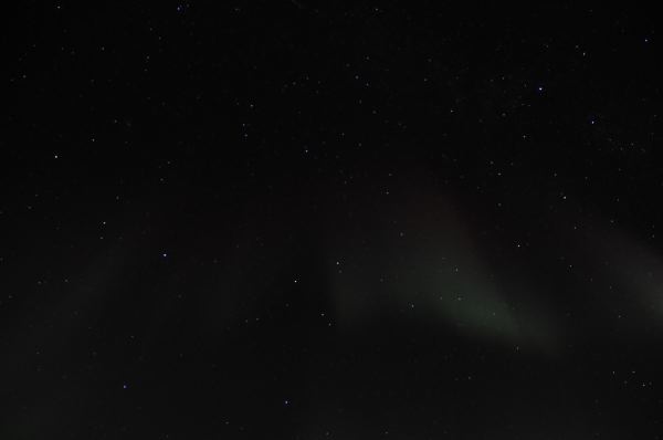 DSC_8779