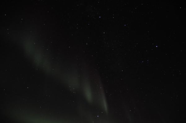 DSC_8781