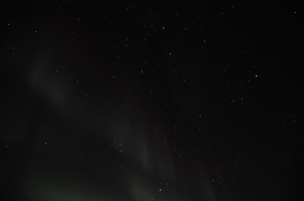 DSC_8782