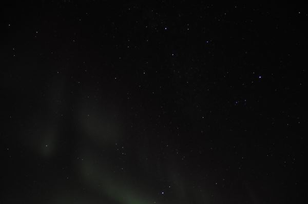 DSC_8784