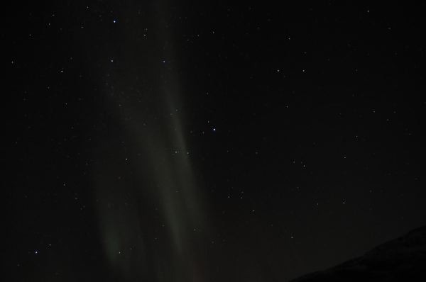 DSC_8785