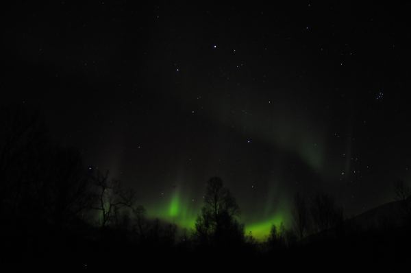 DSC_8907