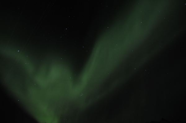 DSC_8838