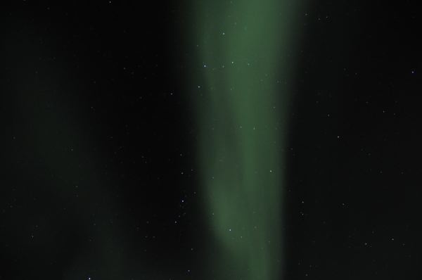 DSC_9648