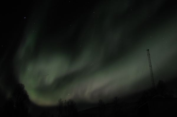 DSC_0050