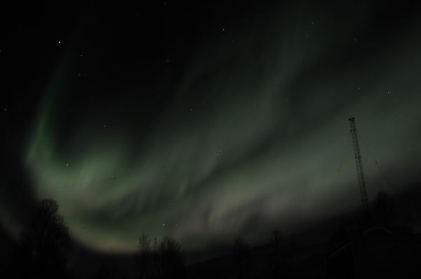 DSC_0051