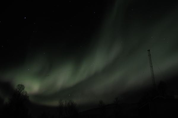 DSC_0053