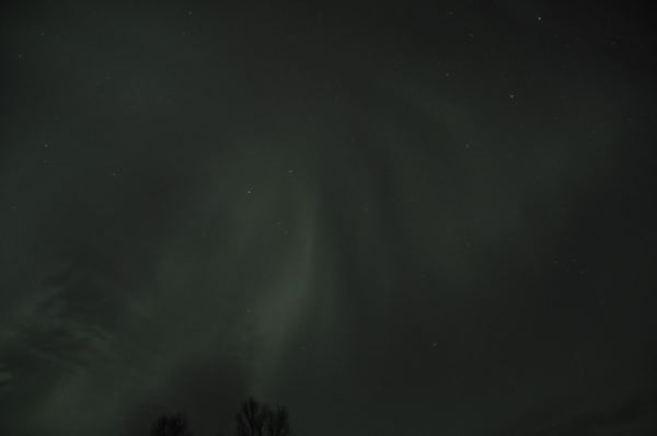 DSC_0117