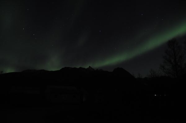 DSC_0180
