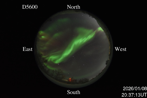 D5600_20260108203713_green_curves.jpg