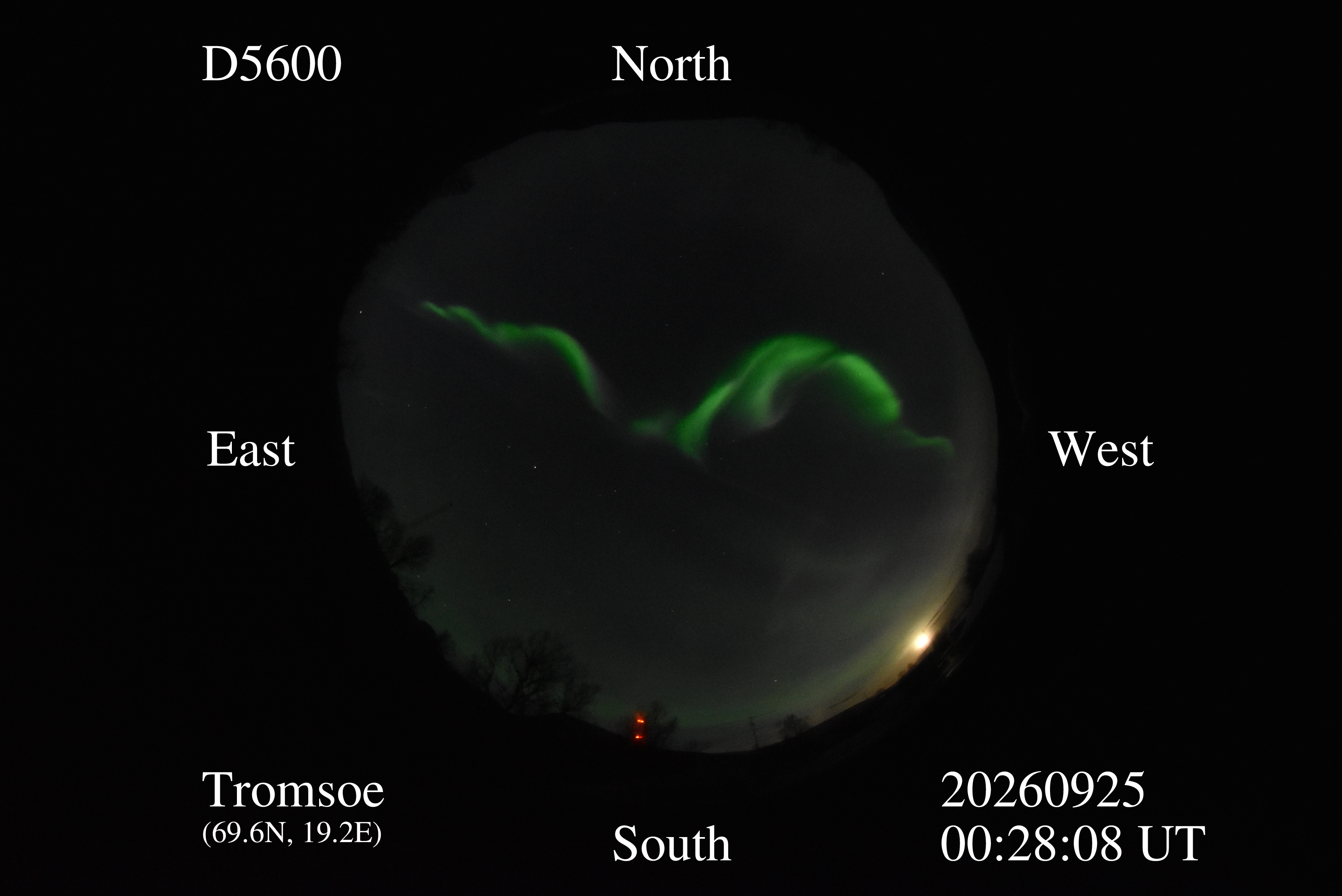 D5600_20260925002808_green.jpg