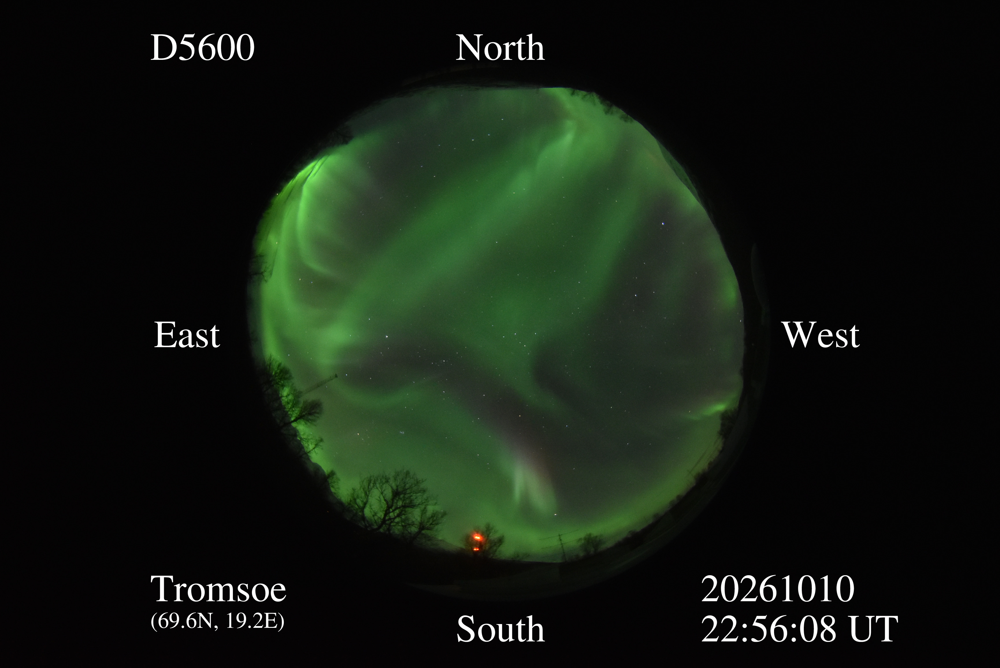 D5600_20261010225608_green.jpg