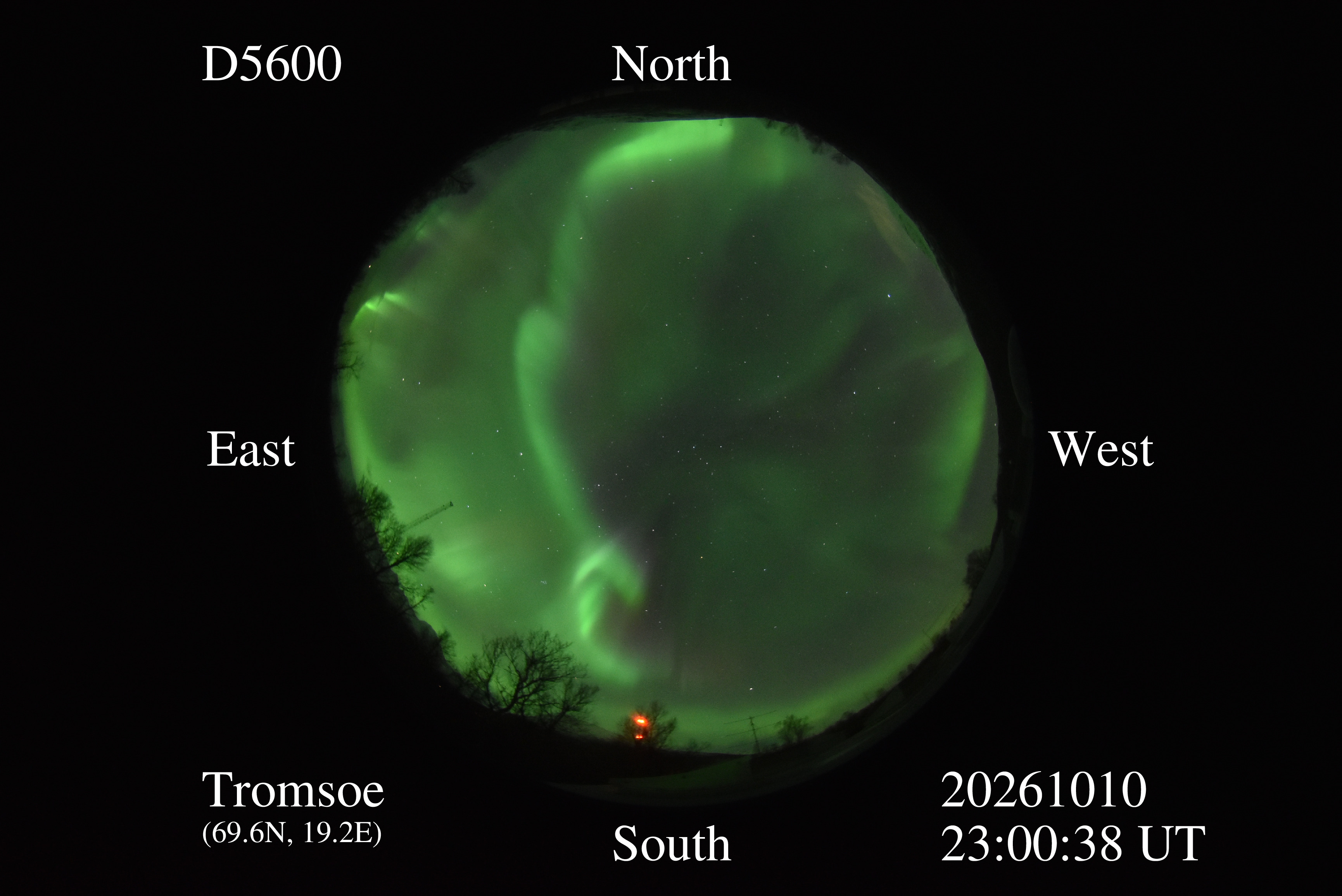 D5600_20261010230038_green.jpg