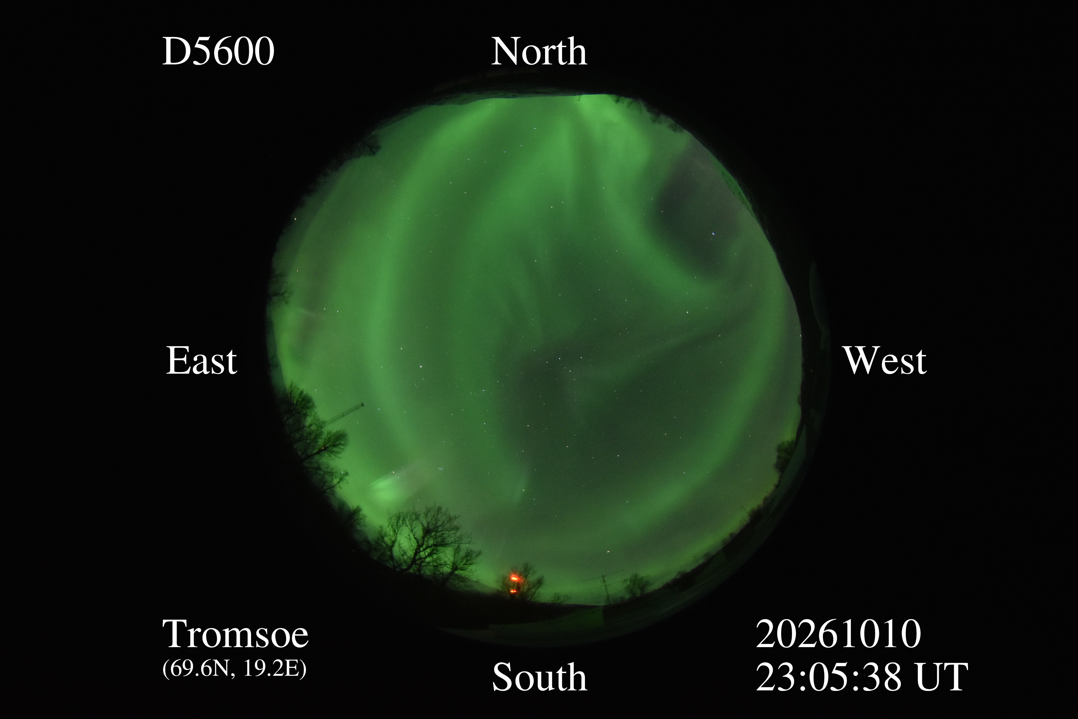 D5600_20261010230538_green.jpg