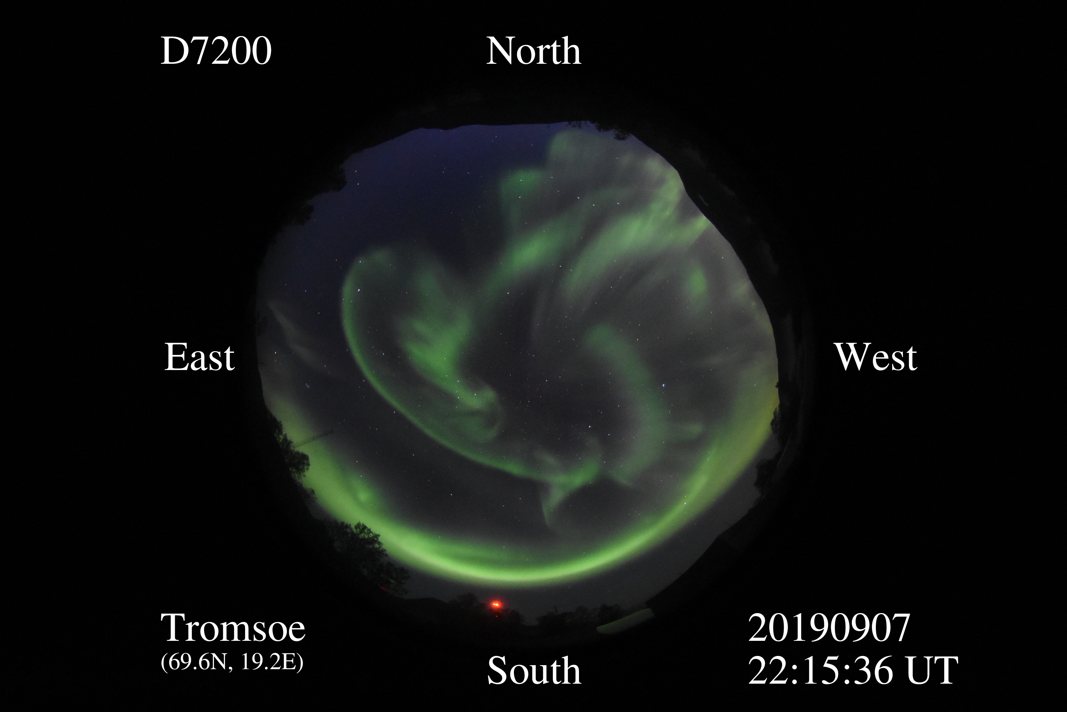 D7200_20190907221536_green_curl.jpg