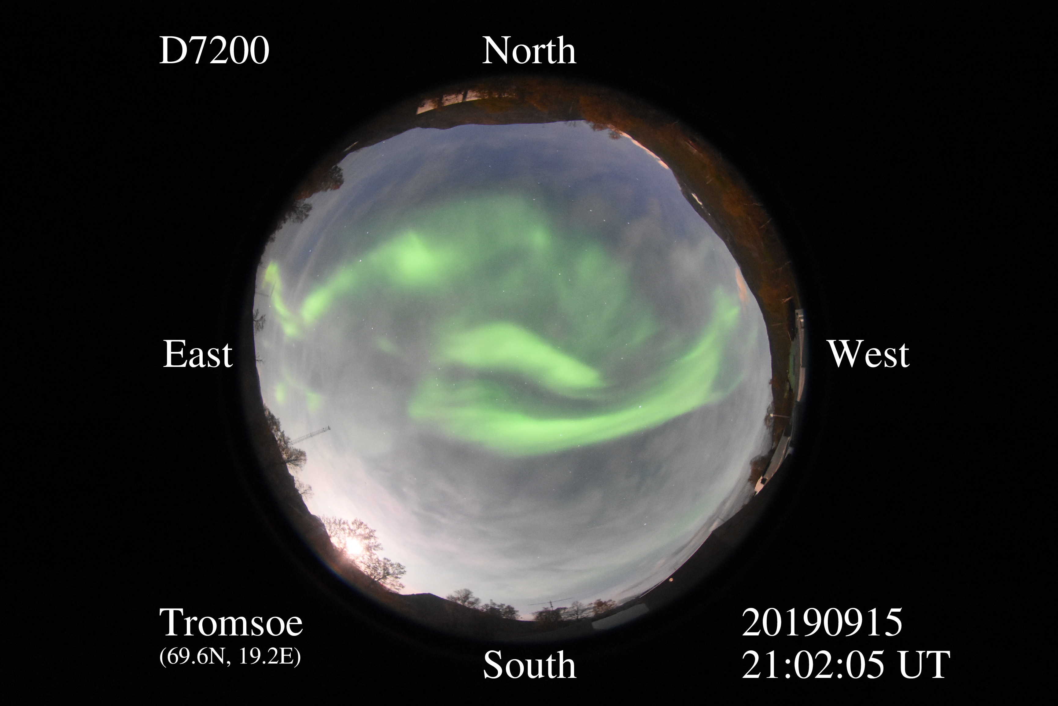 D7200_20190915210205_green.jpg