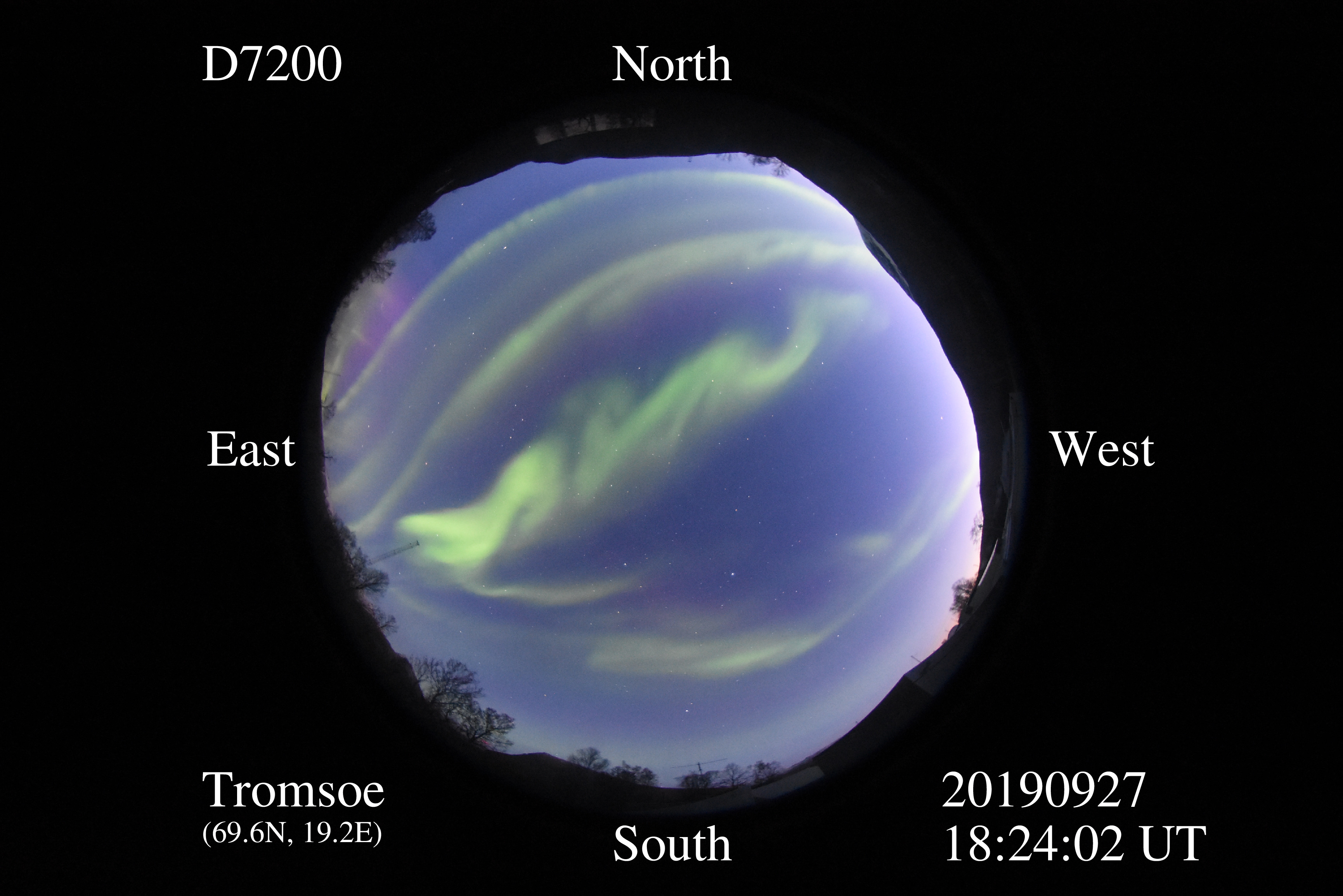 D7200_20190927182402_green_purple.jpg
