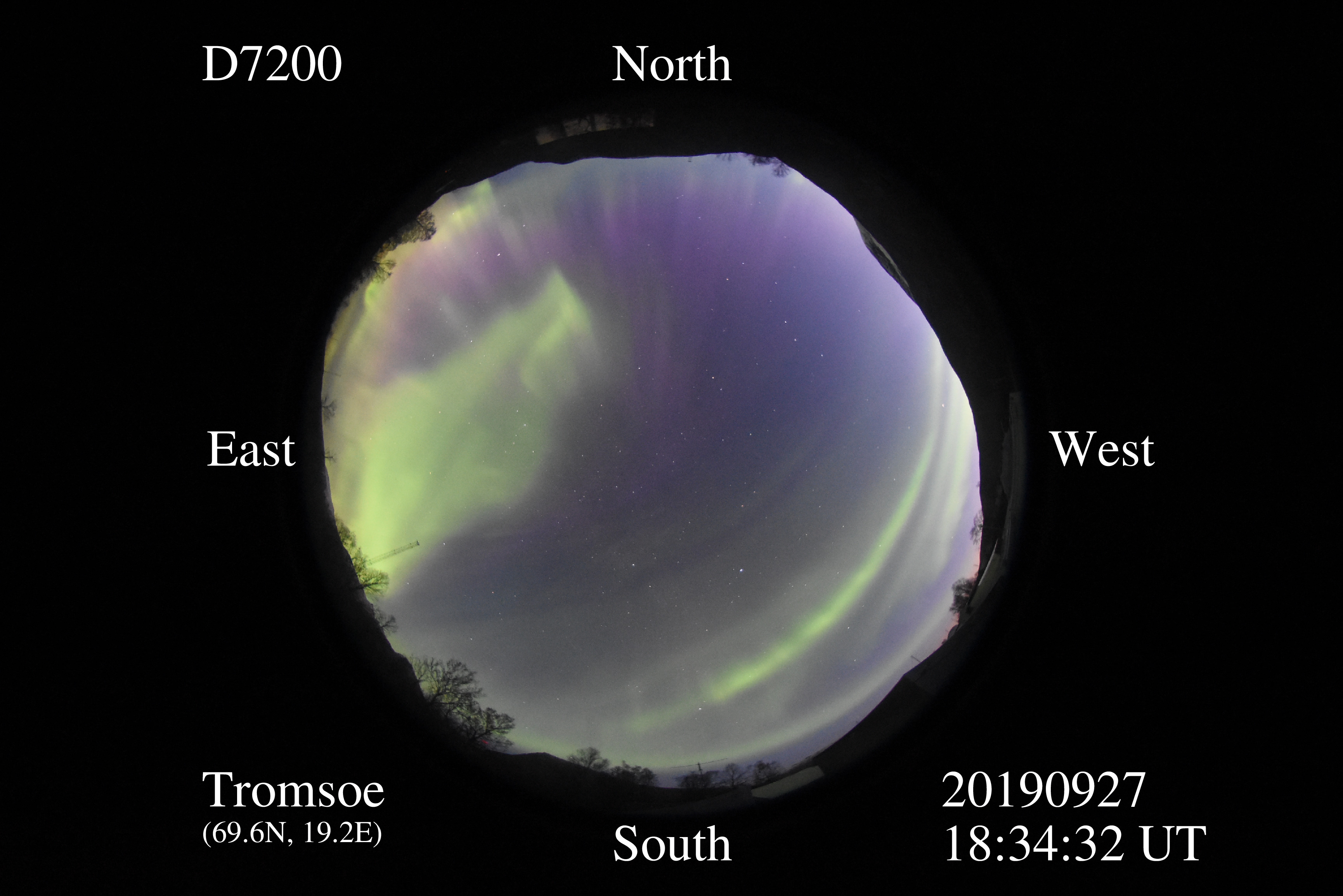 D7200_20190927183432_green_purple.jpg