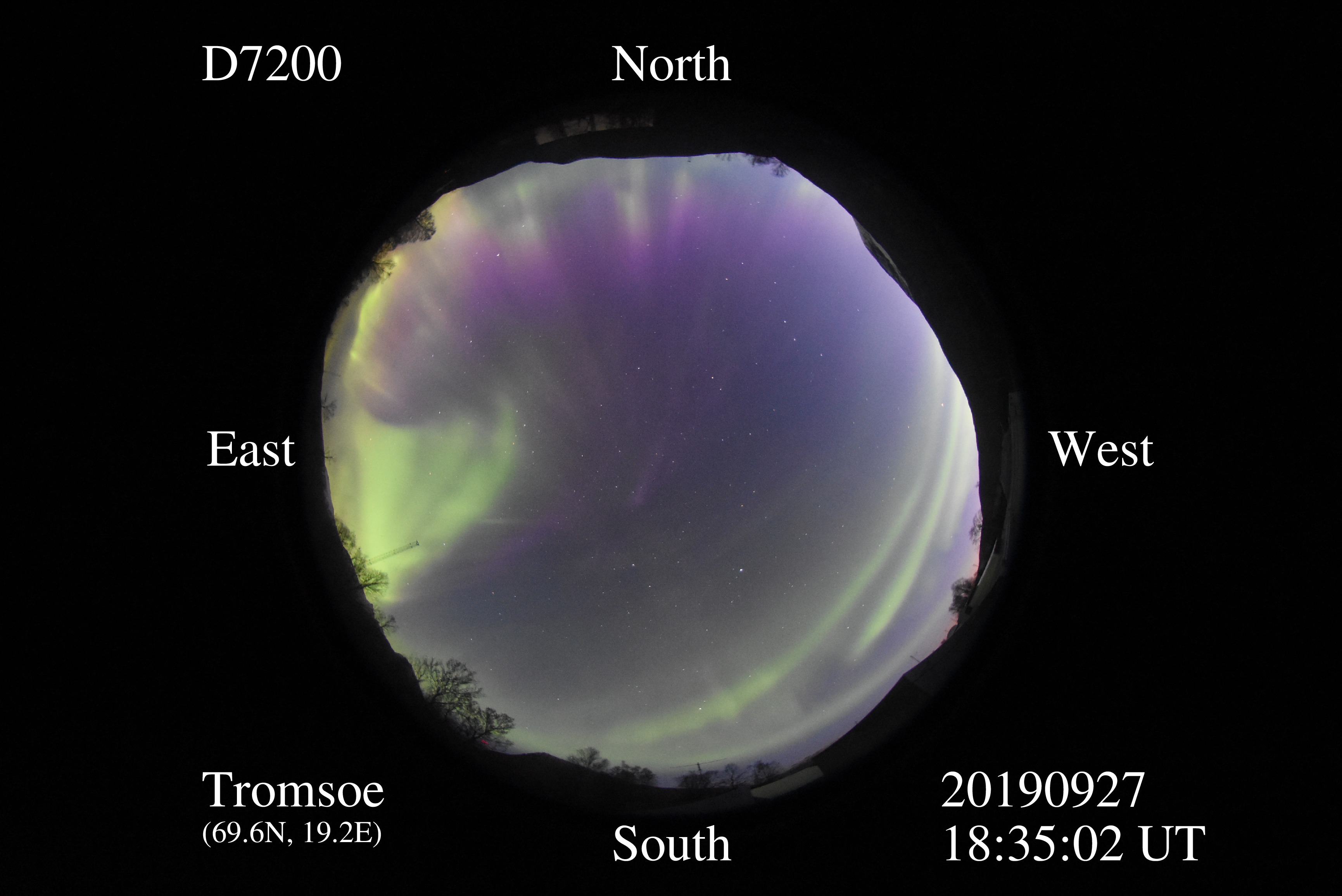 D7200_20190927183502_green_purple.jpg