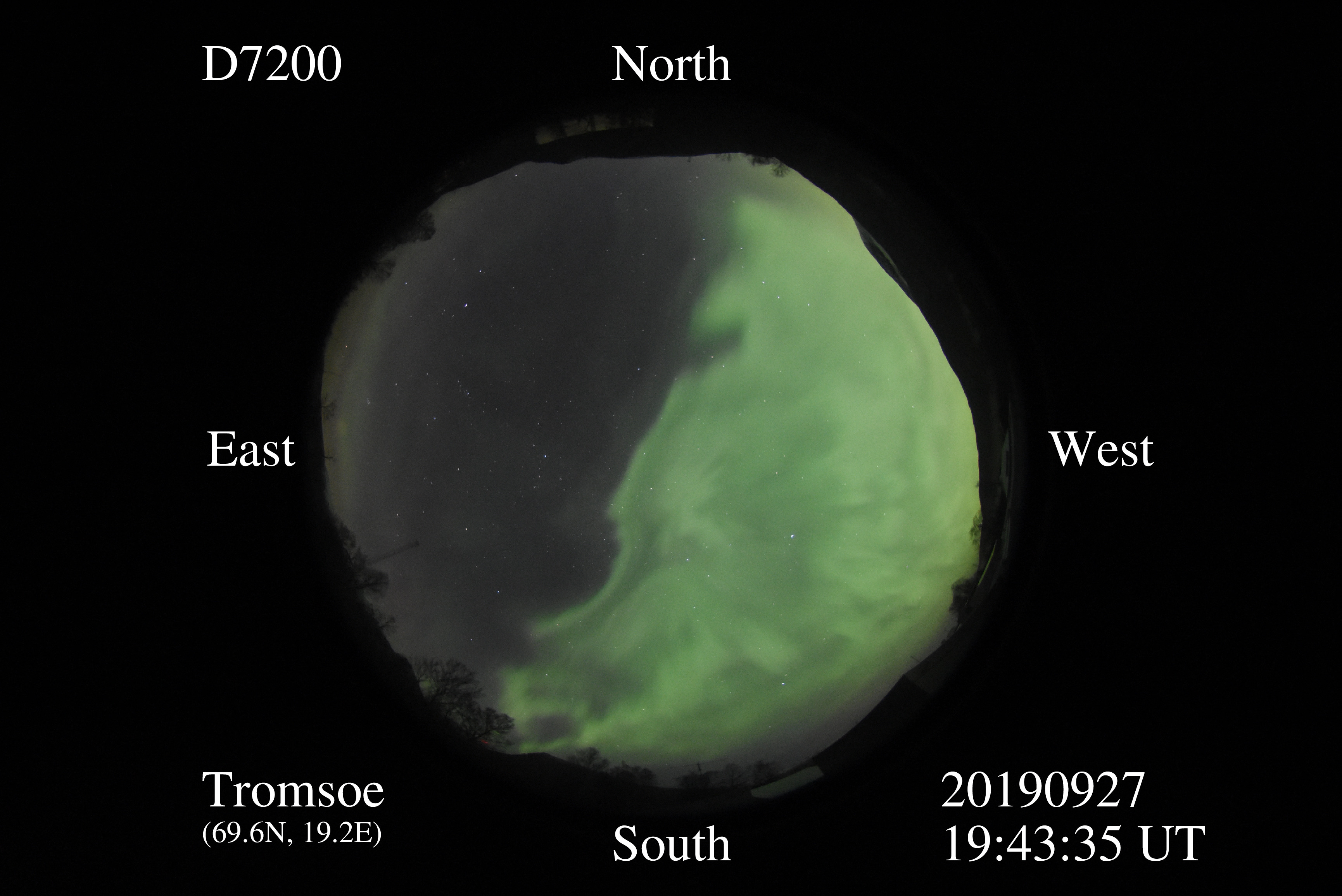 D7200_20190927194335_half_green.jpg