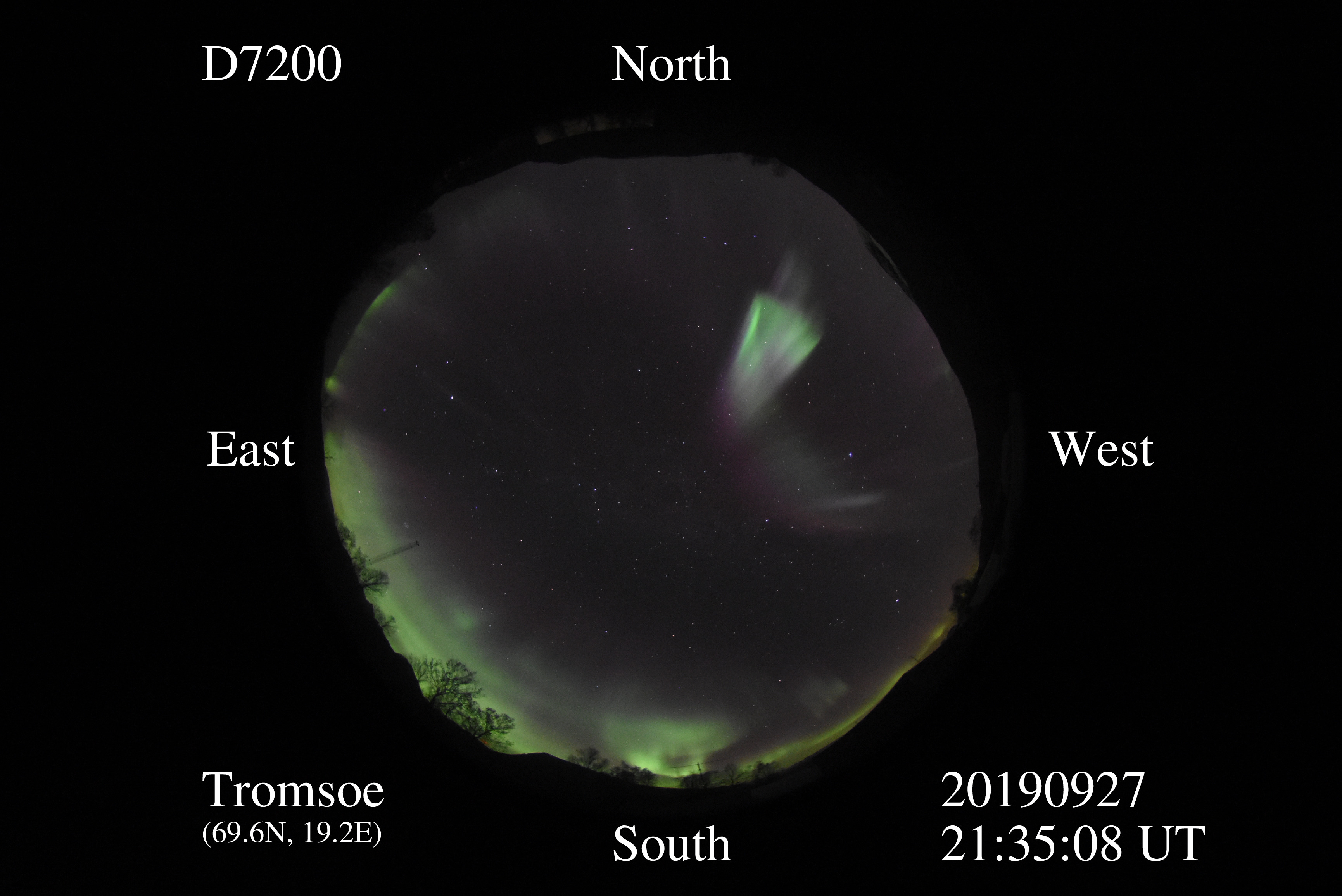 D7200_20190927213508_green_purple.jpg