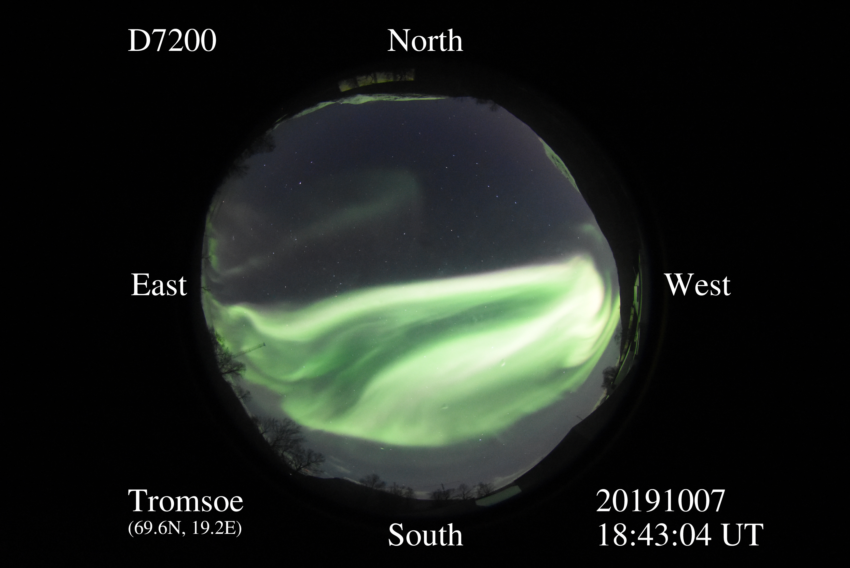 D7200_20191007184304_bright_green.jpg
