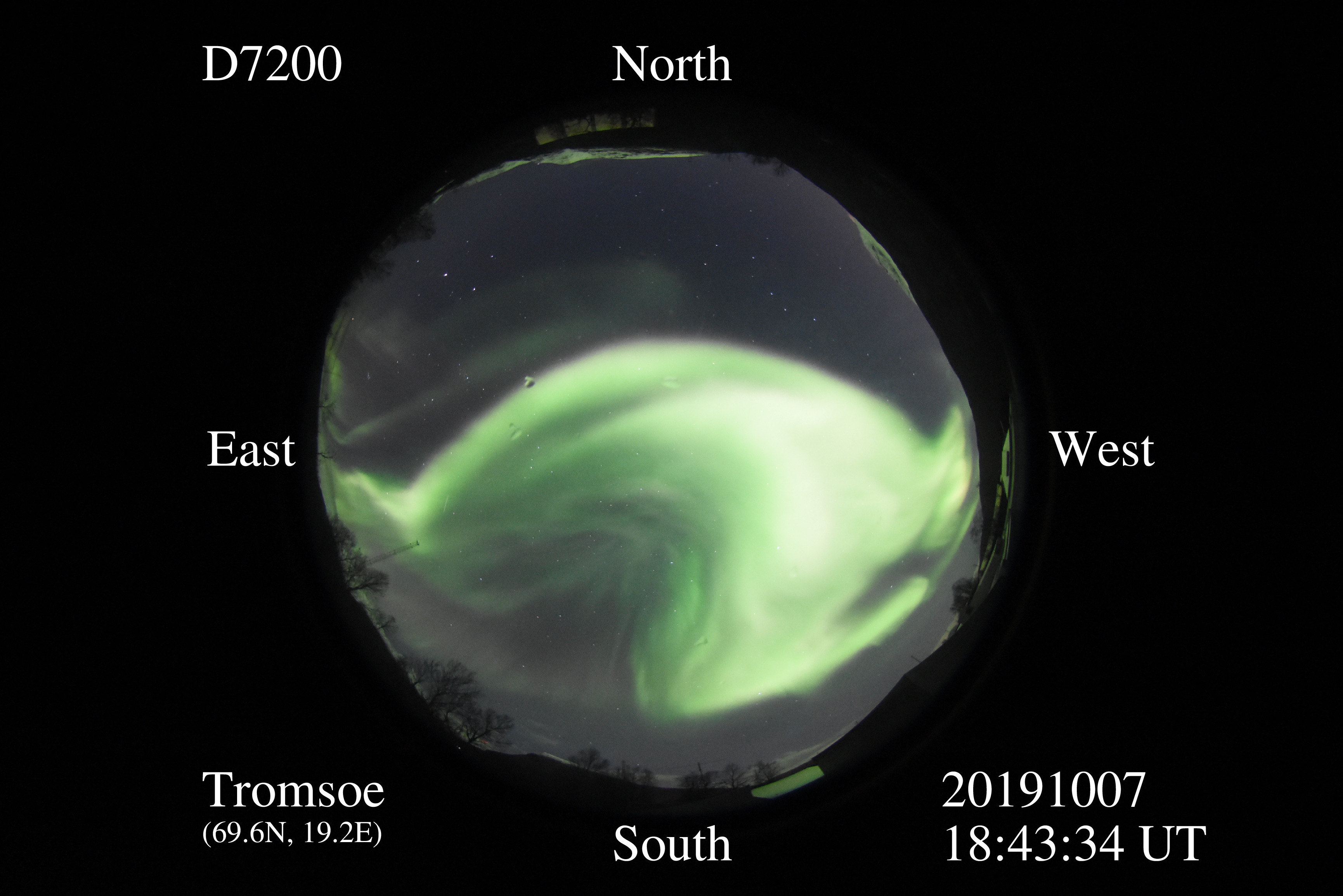 D7200_20191007184334_bright_green.jpg