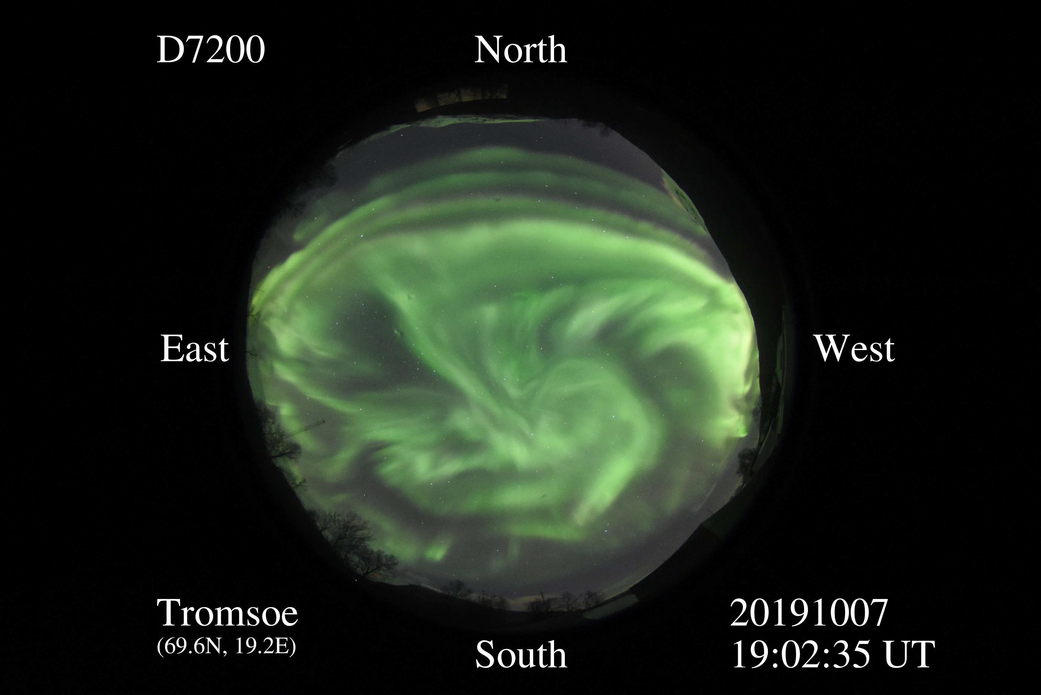 D7200_20191007190235_green_fine_structure.jpg