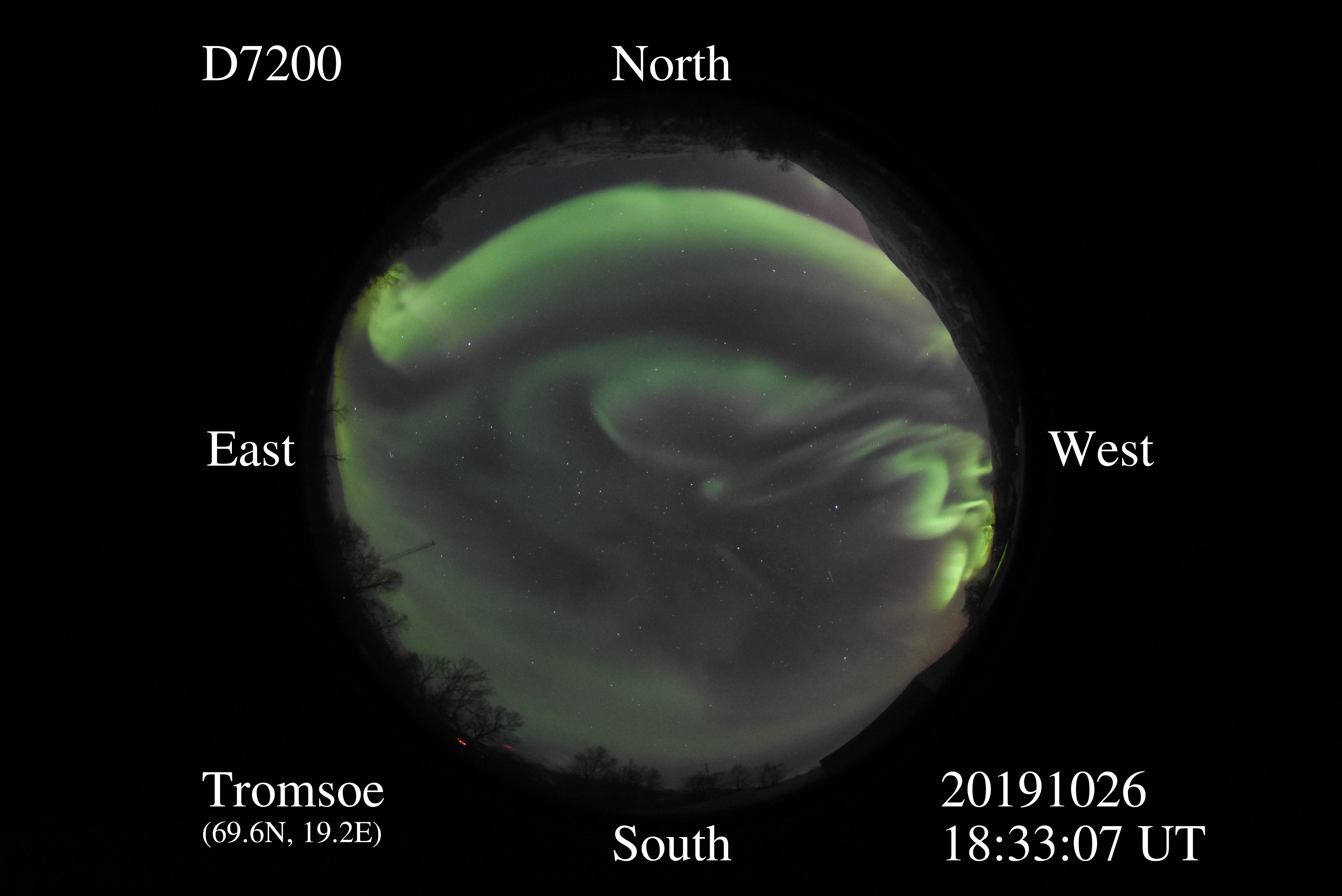 D7200_20191026183307_green.jpg