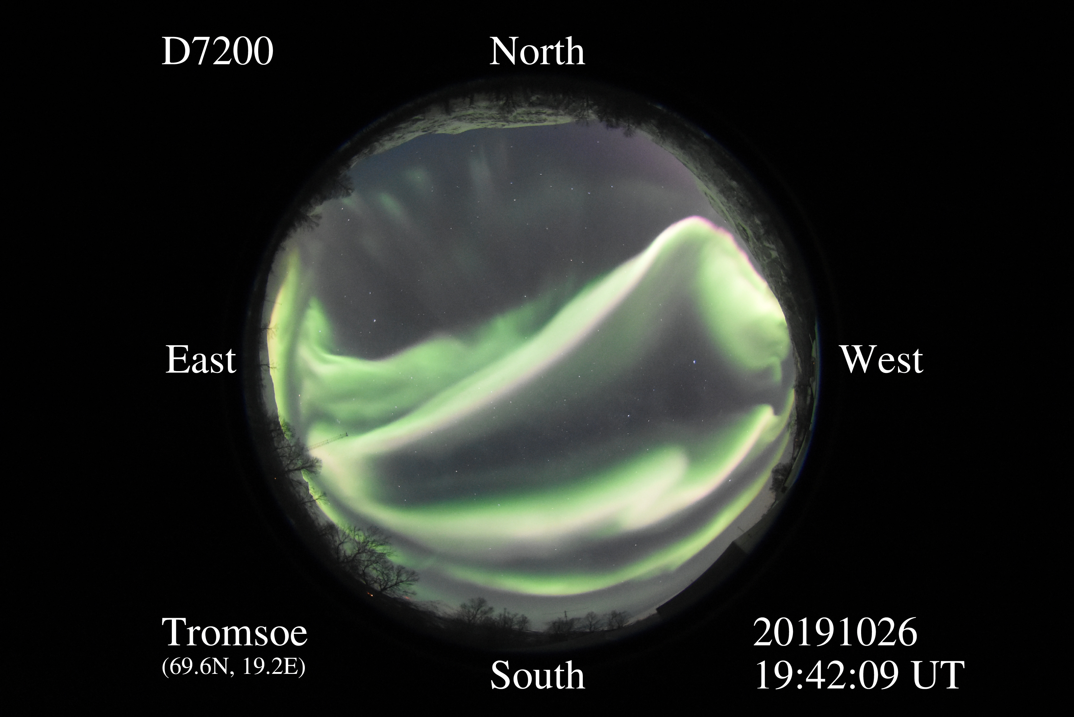 D7200_20191026194209_green_bright.jpg