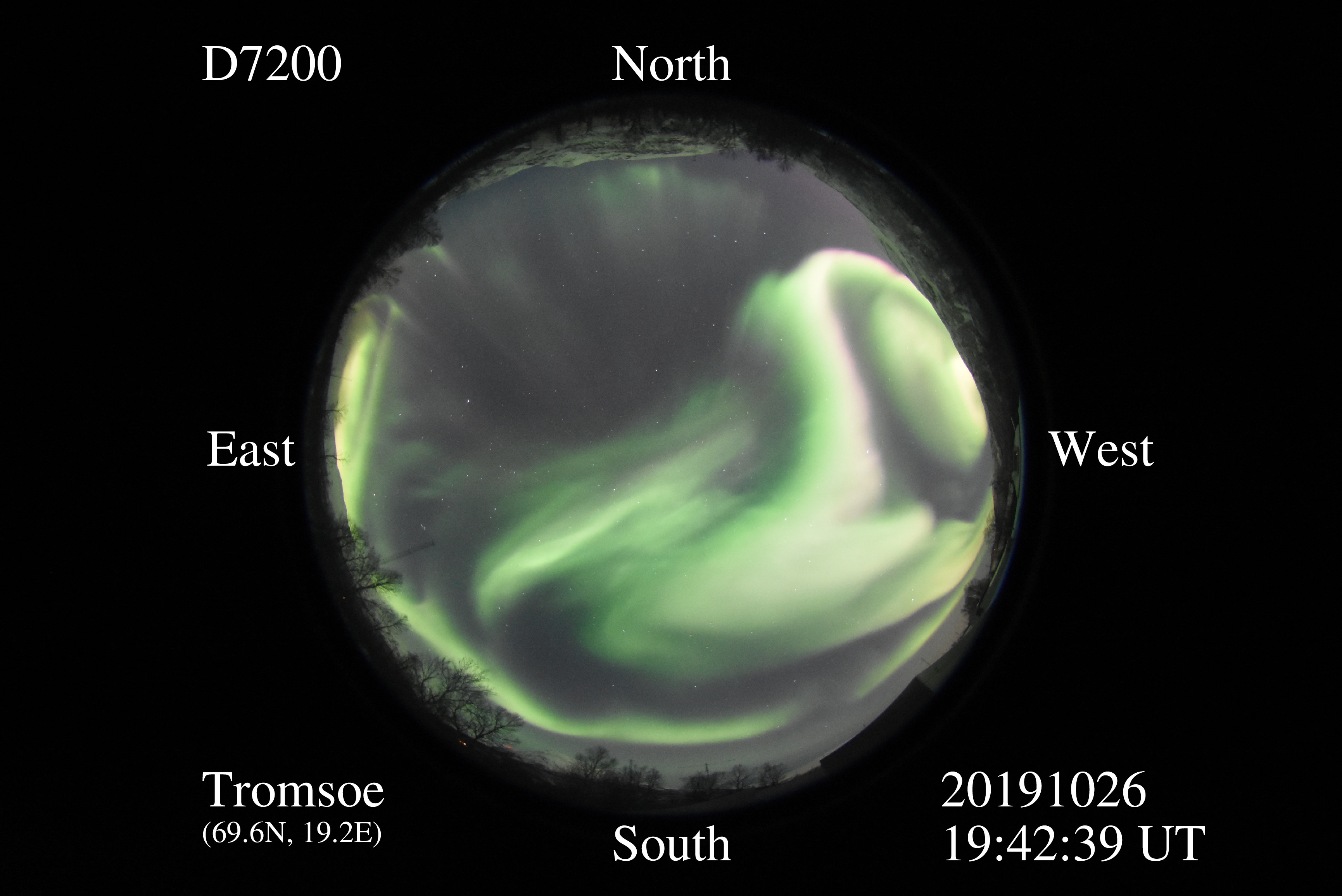 D7200_20191026194239_green_bright.jpg