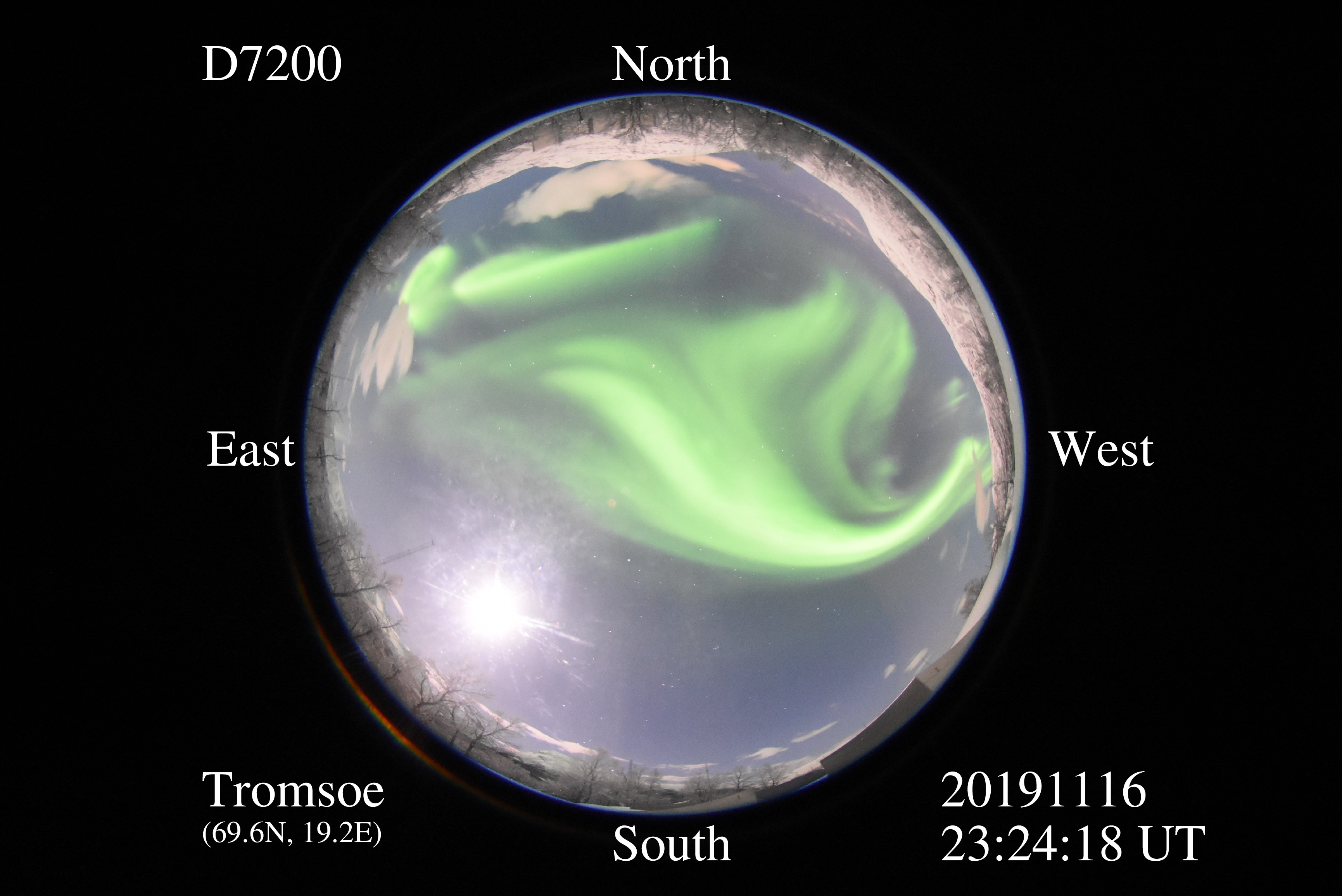 D7200_20191116232418_green.jpg