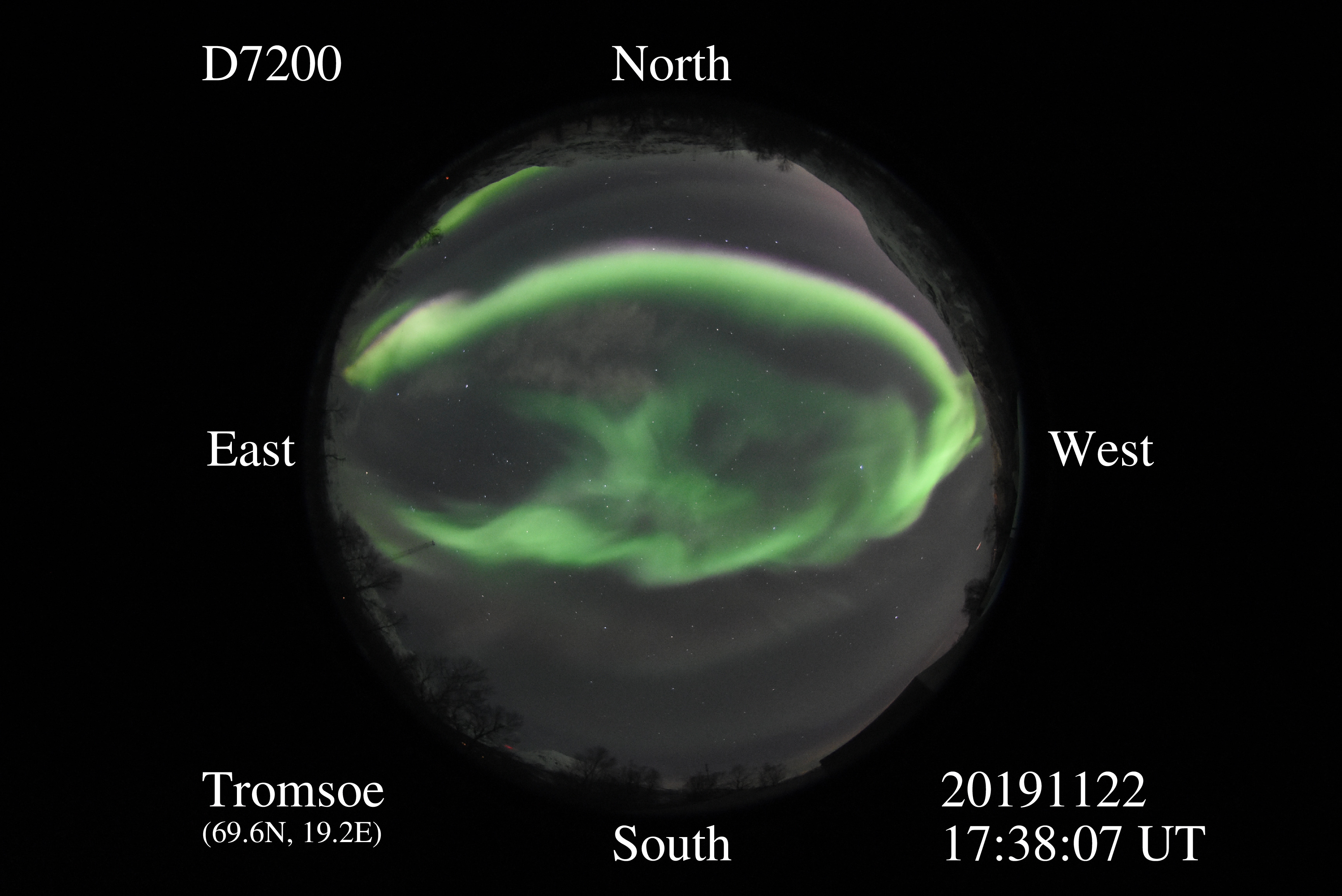 D7200_20191122173807_green.jpg