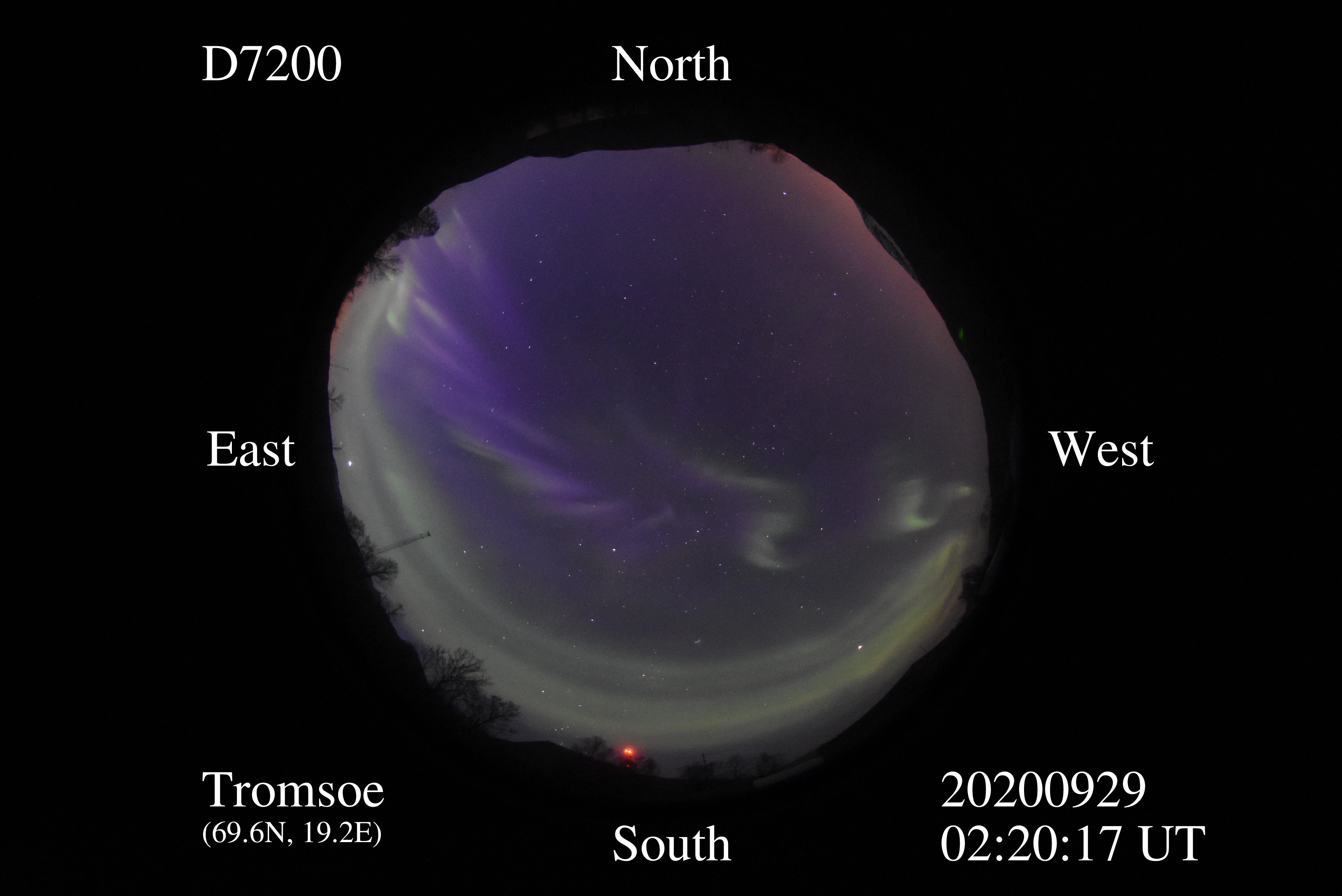 D7200_20200929022017_green_purple.jpg