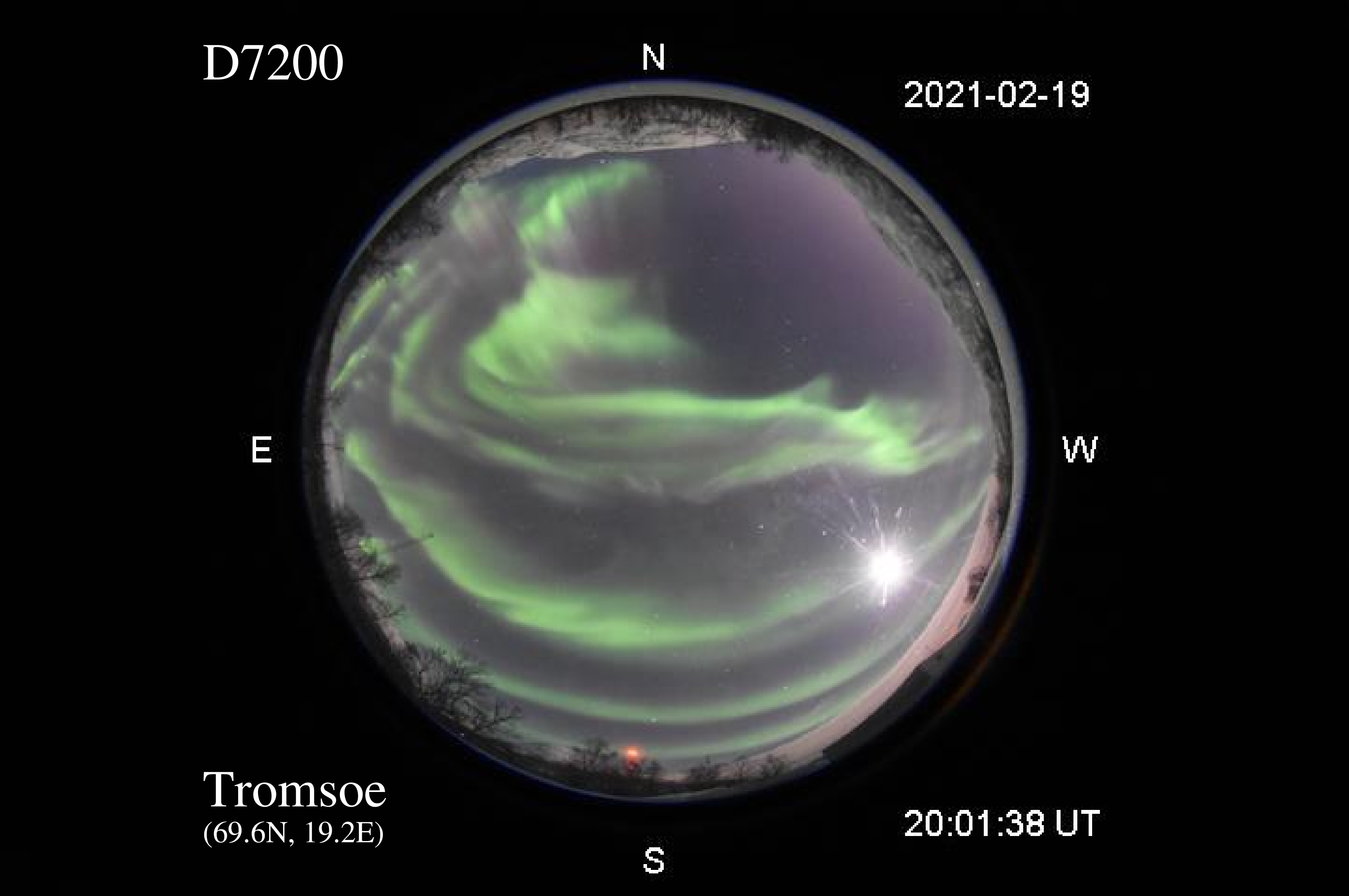 D7200_20210219200138_green_purple.jpg