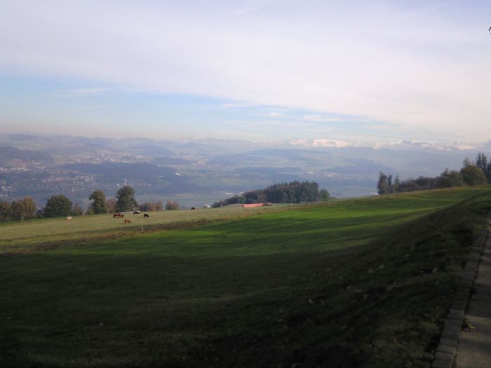 NEC_0395