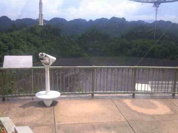 NEC_0353