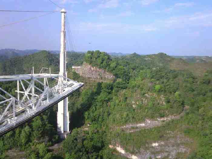NEC_0282