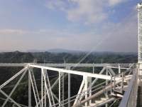 NEC_0291
