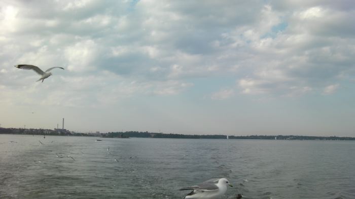 SANY0334