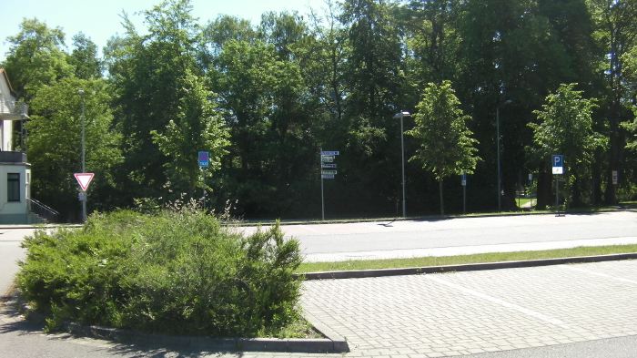 SANY0441