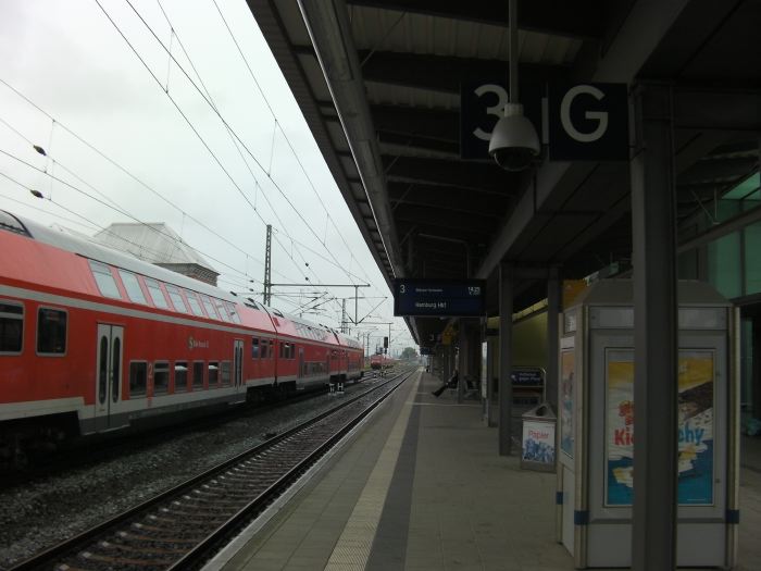 SANY0547