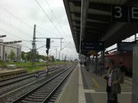 SANY0554