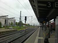 SANY0555