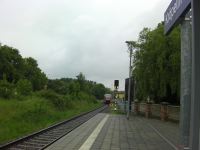 SANY0544