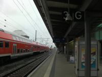 SANY0547