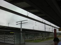 SANY0548