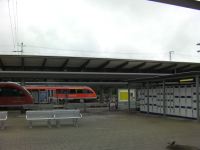 SANY0549