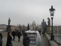 IMG_3503