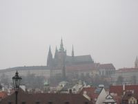 IMG_3508